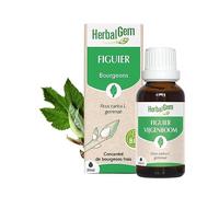 HERBALGEM - Figuier Bio Complément Alimentaire Extrait De Bourgeon Frais Pour Digestion 30 ml Goutte(S)