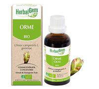 HerbalGem Orme Bio Goutte(S) 30 ml