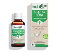 HerbalGem – Complément alimentaire gemmothérapie concentrée Séquoia Bio – Vegan – 30 ml
