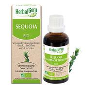 Herbalgem Séquoia Géant Jeunes Pousses Concentré De Bourgeons Frais Bio Flacon 30ml
