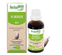 Herbalgem Sorbier Macérât-Mère Concentré Bio Flacon 30ml