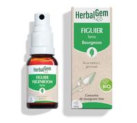 HerbalGem Complément alimentaire spray Figuier Bio Extrait de bourgeon frais 15 ml