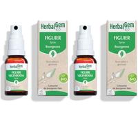 HerbalGem Macérât-Mère Spray Figuier Bio 15 ml (Lot de 2)