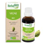 Herbalgem Vigne Macérât-Mère Concentré Bio Flacon 30ml