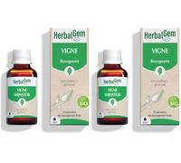 HERBALGEM - Macérât-Mère - Vigne Bio - Complément Alimentaire Gemmothérapie Concentrée - Extrait De Bourgeon Frais - Santé Circulatoire, Drainage, Antioxidant, Santé Peau - Vegan - 30 ml (Lot de 2)