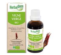 Herbalgem Vigne Vierge Bio Macérât-Mère Concentré Flacon 30ml