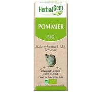 HerbalGem POMMIER Goutte(S) 30 ml