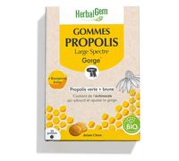 HerbalGem Propolis Large Spectre Bio Dragée(S) 24 pc(s)