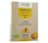 Herbalgem Propolis Jun Bio Gom X24