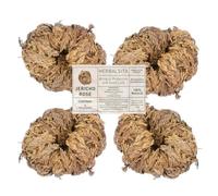 Herbalista Lot de 4 grandes roses de jéricho de qualité supérieure - Symbole de prospérité et d'abondance, idéal pour la décoration d'intérieur et la guérison spirituelle