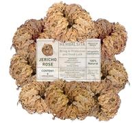 Herbalista - Lot de 8 grands (6,3 cm - 8,9 cm) - Rosa de Jericó (plante de résurrection) - Fleur de Jéricho symbole de prospérité et d'abondance, idéal pour la décoration intérieure et la guérison