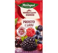 Herbapol Tea Garden Prosto Z Lasu Owocowo-Ziołowa Herbatka 50 G (20 X 2,5 G)