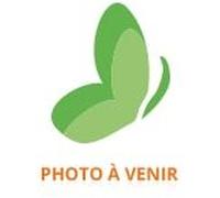 Herbatint Vegetal Color - Coloration végétale 100% naturelle et bio, HENNA LOVE POWER - Henné Pur 100 grammes