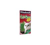Herbe À Chat