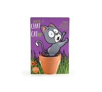 radis et capucine - herbe à chat - carte avec pot G