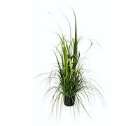 Herbe artificielle en pot - Plante verte - Herbe décorative - Buisson d'herbe - Plante décorative - Plante décorative - Plante artificielle - Décoration de Pâques - Décoration de printemps