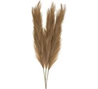 Herbe artificielle Plume d'herbe brune Décoration naturelle 100cm Roseaux Herbes sèches Décor 3er Set