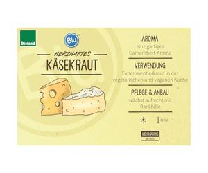 Herbe de fromage de qualité bio - Paederia lanuginosa - Plante herbacée dans un pot de 12 cm