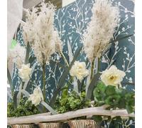 Herbe de la Pampa Blanc Herbes sèches artificielles Plantes artificielles Décoration Fleurs artificielles Vase