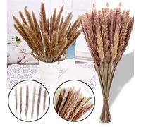 Herbe de la pampa séchée naturelle - Décoration de table - 60-85 cm de long - Fleurs séchées - Décoration de table - Branches décoratives pour bouquet de fleurs séchées