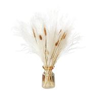 Herbe de Pampa Fleur séchée Naturelle Fleurs séchées décoratives artificielles,Décoration de Mariage en Famille 30Pcs_H 45cm