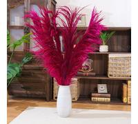 Herbe de Pampa Rouge Violette, 4 pièces de 110 cm, Grande Herbe de Pampa colorée séchée Naturelle, Fleur de Pampa Rose Vif avec arôme de Fleurs séchées, Plante séchée Longue