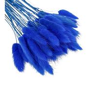 Herbe de queue de lapin séchée 50 pièces,URMAGIC 45cm Lagurus Ovatus séché naturel, arrangements de fleurs d'herbe de pampa, bouquet de fleurs de mariage, fleurs séchées de queue de lapin