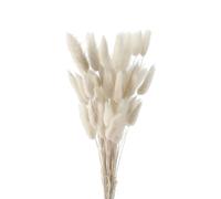 Herbe de Queue de Lapin Séchée, FENGCHUANG-Herbe De La Pampa Fleurs Séchées, 60 Pcs Ne Se Fanent Jamais Fleur Sechees pour Décoration de Maison, Mariage (Blanc)