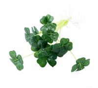 Herbe d'eau artificielle en plastique pour aquarium - Lys calla réaliste - Simulation de feuille pour aquarium, décoration d'intérieur, bureau - Vert - 24 cm (C)