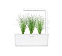 Click & Grow Herbe ornementale / 3-pack - Capsules décoratives pour jardin d'intérieur intelligent