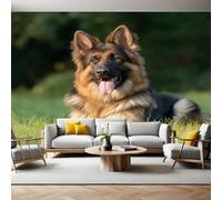 Herbe Papier Peint Panoramique 3D Intissé Chien de berger animalier Panoramique Peinture Murale pour Salon Chambre à Coucher D'Enfant Maison Personnalisé Décoration Murale 350x256 cm