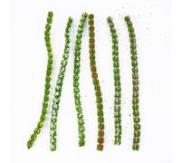 Herbe statique pour touffes pour modélisme, paysage, fleurs sauvages, bandes d'arbustes, 20 cm, verdure en plastique pour table de sable, dispositions de chemin de fer, diorama, décoration de 6