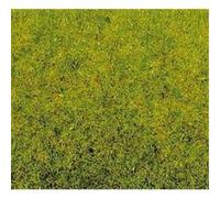 Herbe, Vert Moyen Vert G