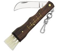 Herbertz - Couteau Champignon Brosse Lame Inox Dos Denté Mousqueton - 251411