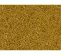 Herbes