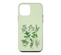 Herbes - Basilic, aneth, Lavande, Menthe et Origan. Coque pour iPhone 12 Mini