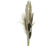 Herbes de prairie et céréales séchées pour des décorations créatives de bouquets secs