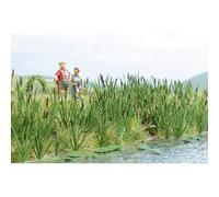 Herbes et roseaux à massette Busch 1256 H0