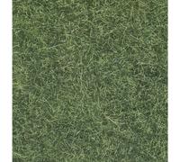 Herbes sauvages NOCH 07102 vert clair 50 g