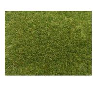 Noch 07118 Herbe Sauvage Multicolore