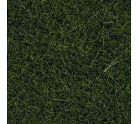 Herbes sauvages XL NOCH 07116 vert foncé 40 g