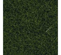 Herbes sauvages XL NOCH 07116 vert foncé 40 g