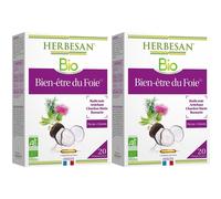 Herbesan Bio Bien-être du Foie Radis Noir Artichaut Romarin Solution Orale 2x200 ml