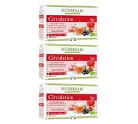 Herbesan Bio Infusion Circulation Saveur Cassis Framboise n°9 20 sachets Lot de 3
