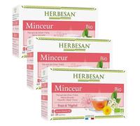Herbesan Bio Infusion Minceur Saveur Menthe n°6 Lot de 3 x 20 sachets