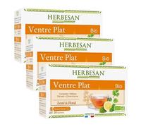 Herbesan Bio Infusion Ventre Plat Saveur Citron n°10 Lot de 3 x 20 sachets