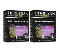 Herbesan® Carbogaz® Capsule(S) 2x45 pc(s)