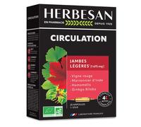 HERBESAN® Circulation Ampoule(S) 20x10 ml