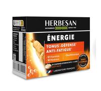 HERBESAN Multivitamines Complexe Énergie 23 actifs - Goût fruits rouges - 30 comprimés effervescents