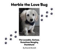 Herbie The Love Bug
